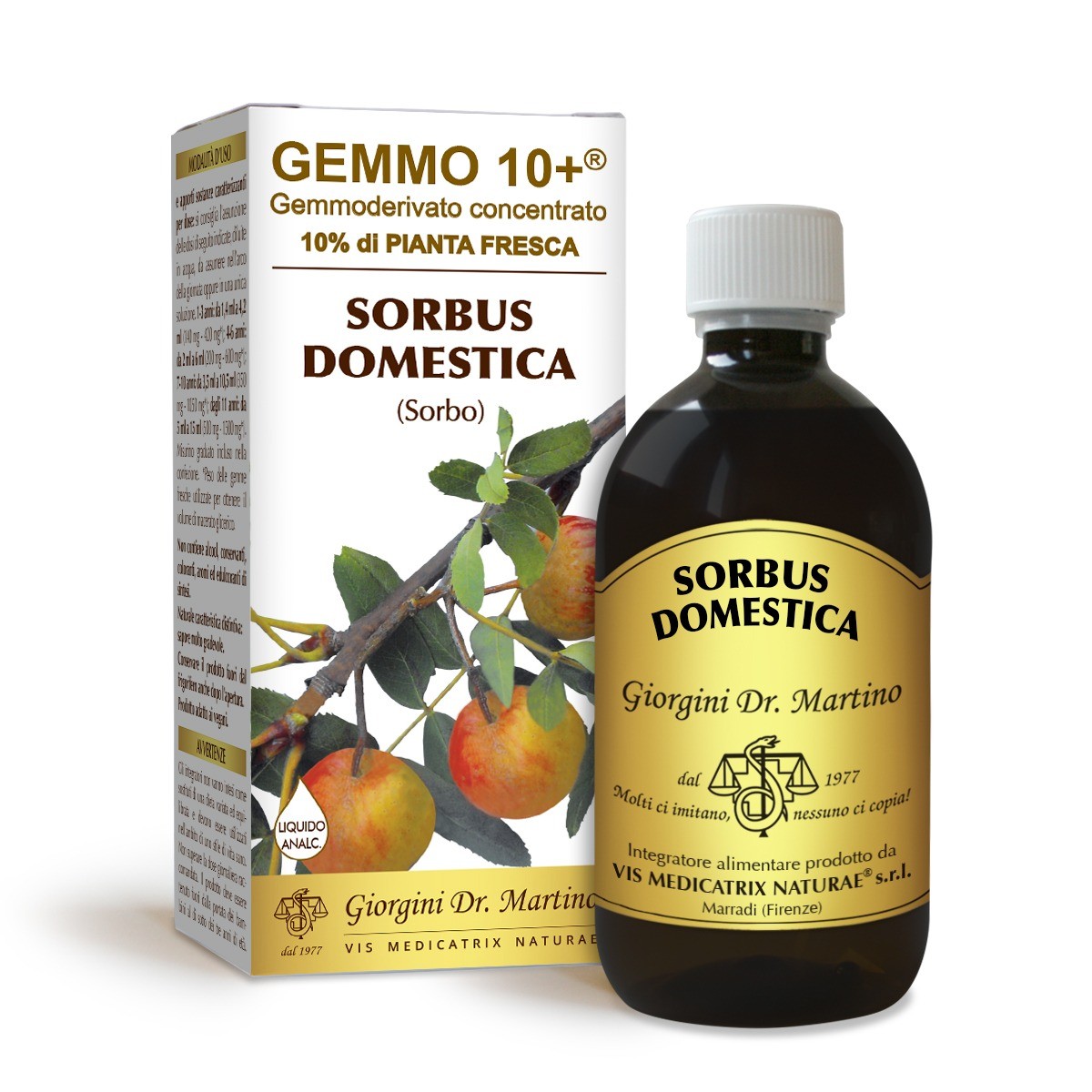 Gemmo 10+ Sorbo Domestico gemmoderivato di Sorbus Domestica 500ml – dr.Giorgini - immagine 2