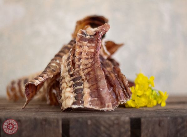 PAUL PAULINA Trachea di Manzo