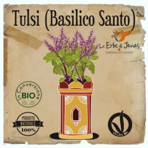 Le erbe di Janas Tulsi – basilico santo gr. 100