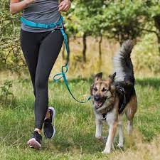 TRIXIE Cintura in vita con guinzaglio per cani